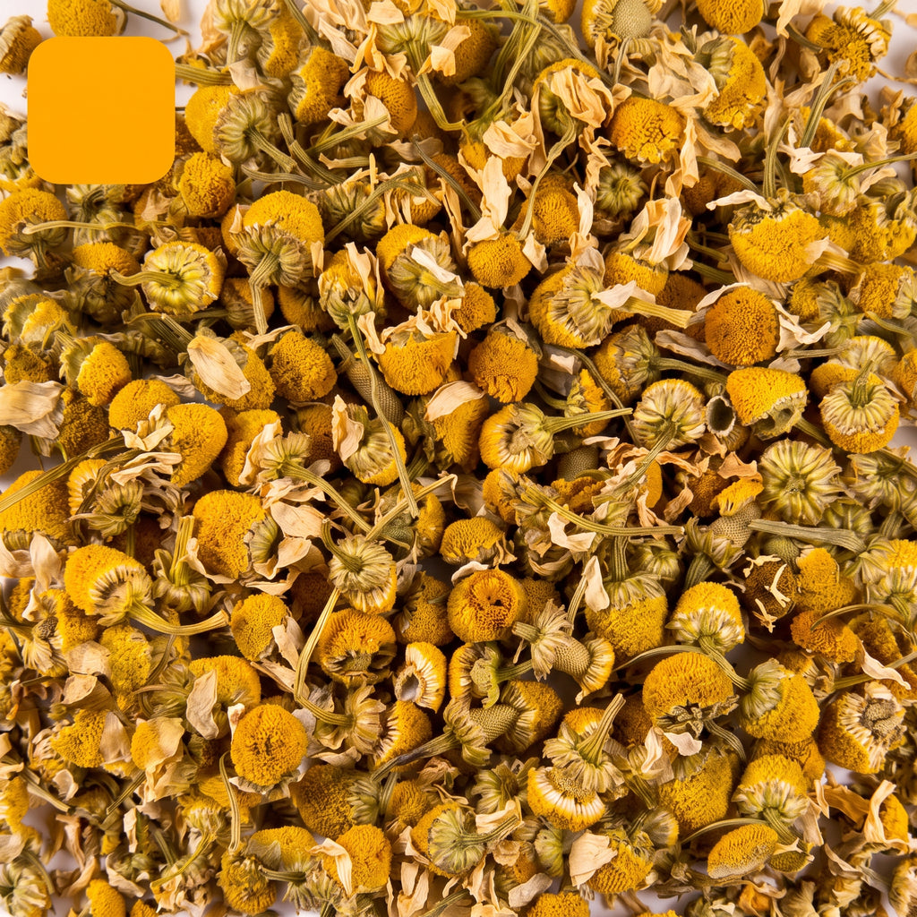 Camomille BIO