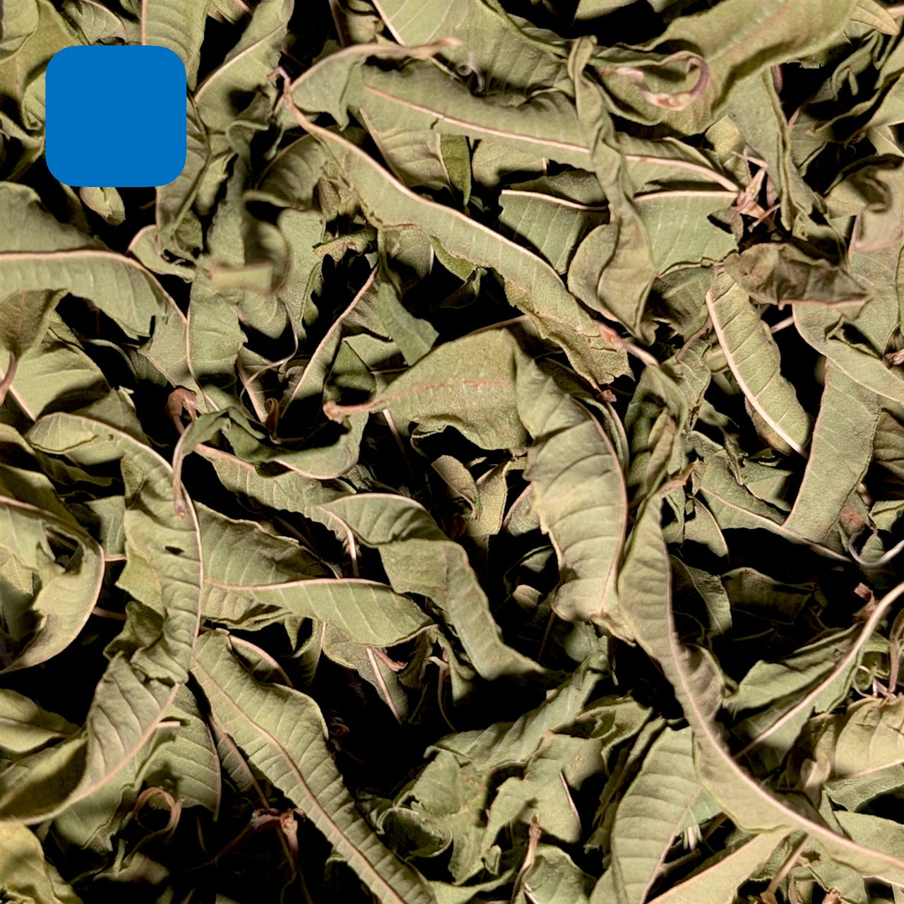 Feuilles de Verveine BIO