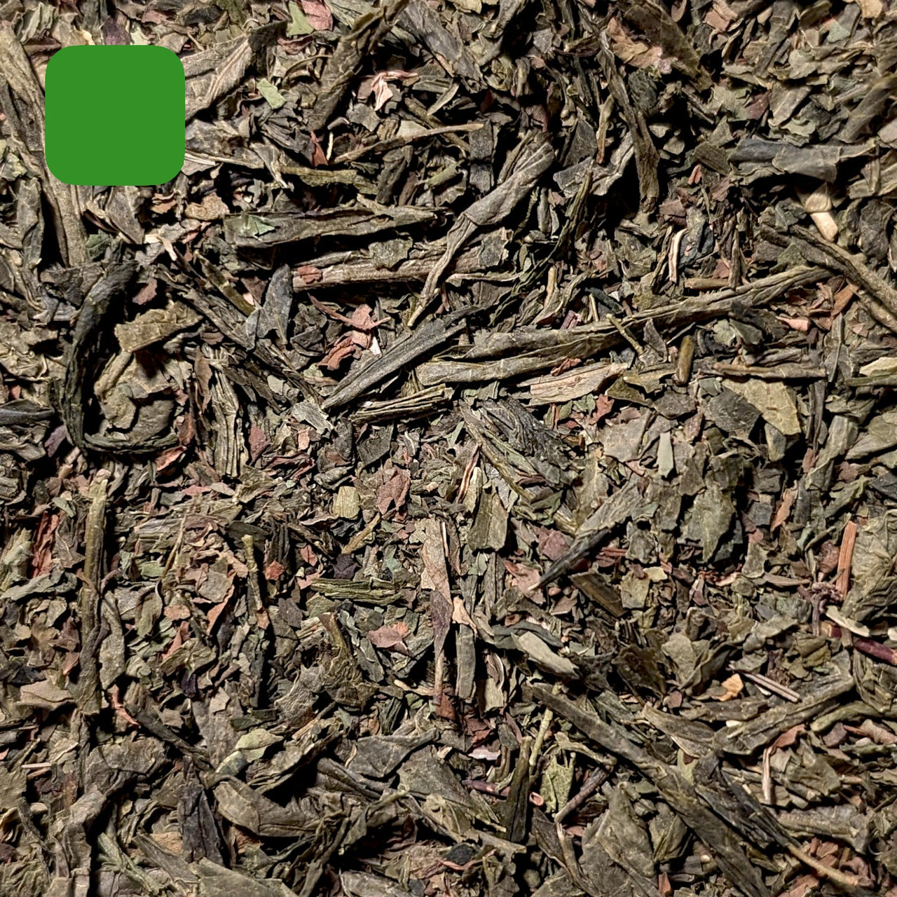 Menthe Verte BIO
