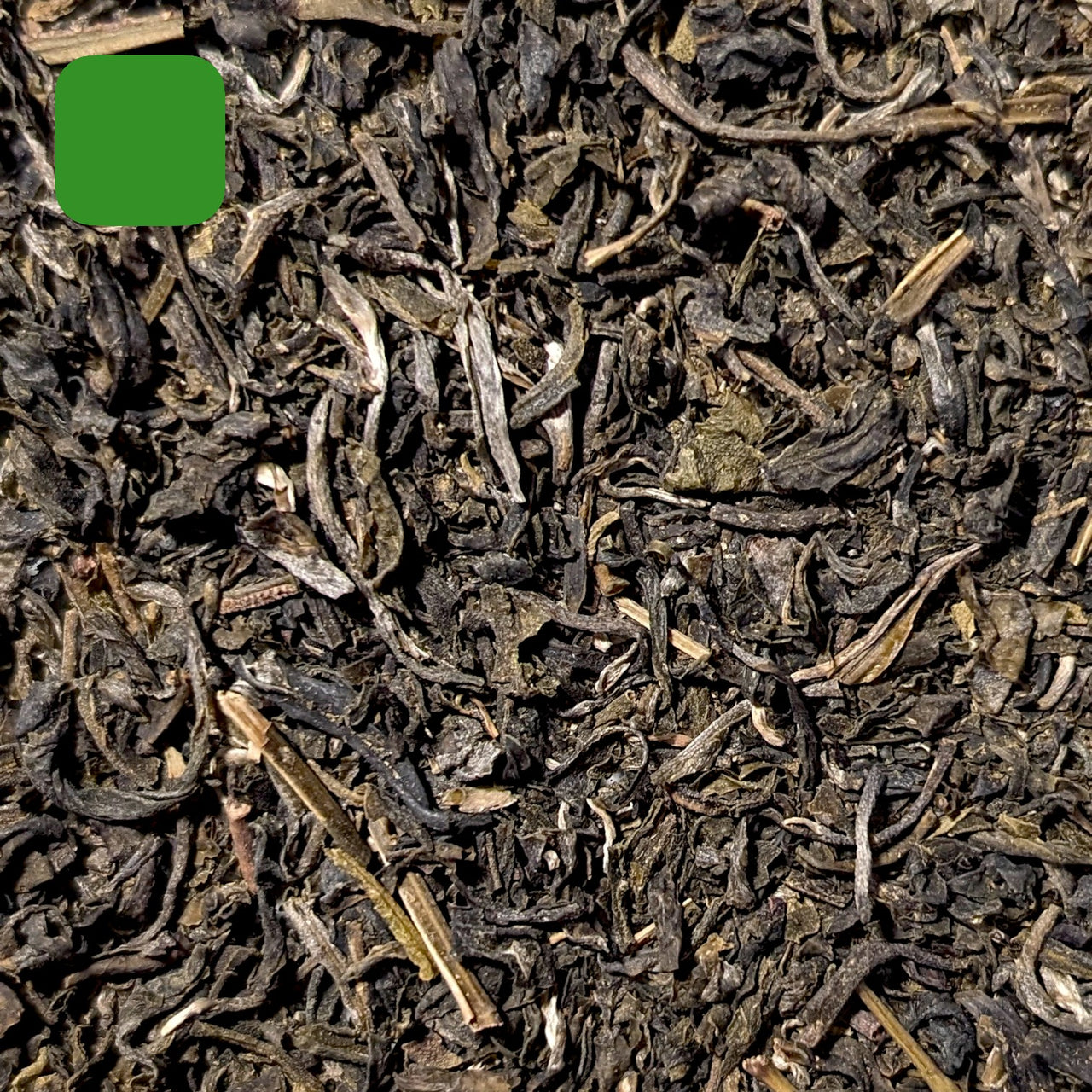 Mountain of Vietnam BIO