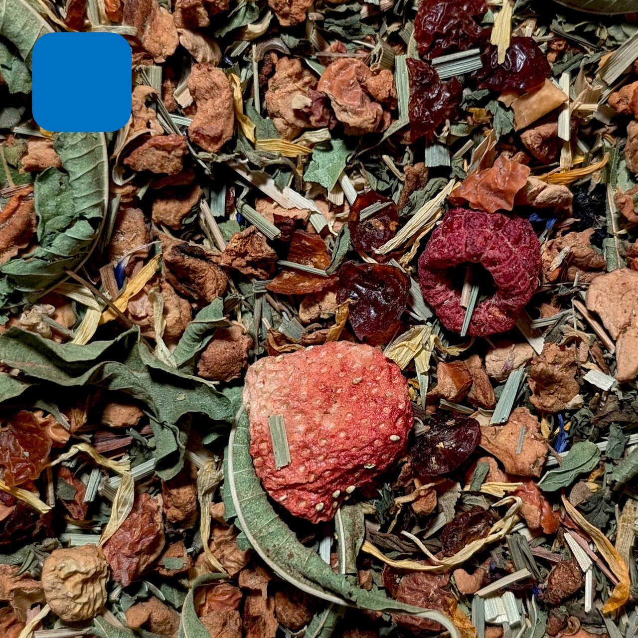 Nounours BIO