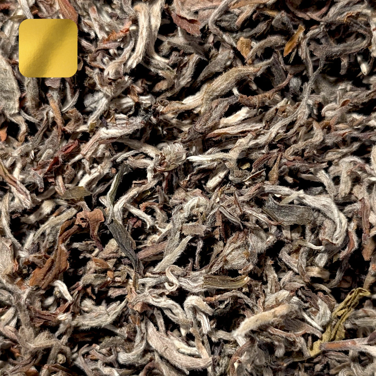 Thé du Sherpa BIO