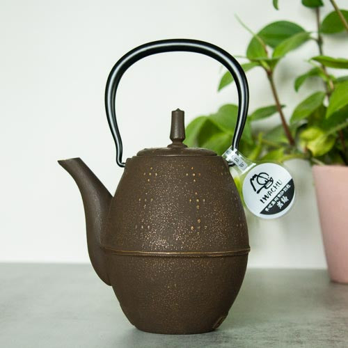 Théière Japonaise en Fonte Iwachu 0,6L