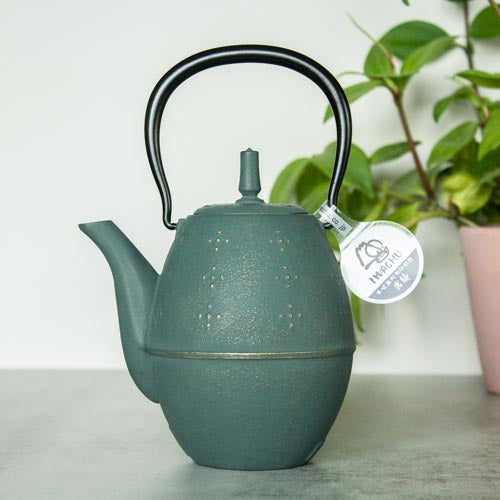 Théière Japonaise en Fonte Iwachu 0,6L